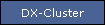 DX-Cluster